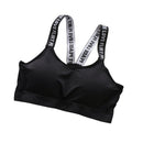 Push Up Sport Bra Top